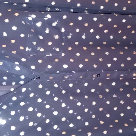 Button Down - Picture 3 of 4